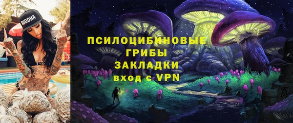 apvp Армянск
