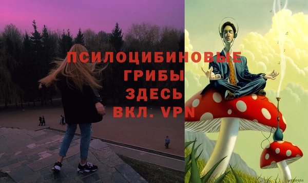 apvp Армянск