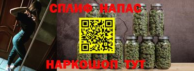 дживик Бийск