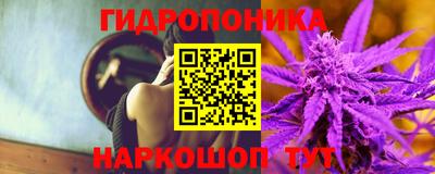 дживик Бийск