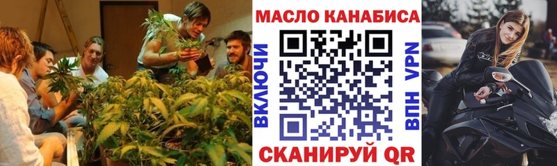 как найти   Вязники  Дистиллят ТГК концентрат 