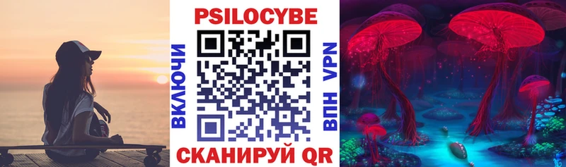 Псилоцибиновые грибы ЛСД  даркнет сайт  Вязники 