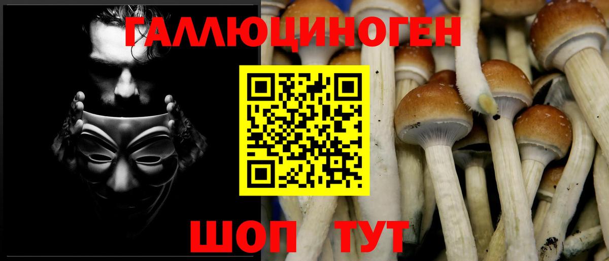 Вязники  Псилоцибиновые грибы мухоморы  Вход с VPN 